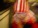 DSC03541.JPG