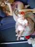 DSC03543.JPG